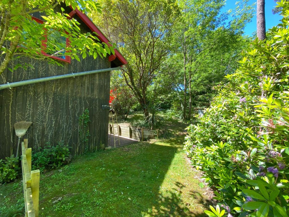Le Loft Au-Dessus Des Pins Apartment Lacanau Exterior foto