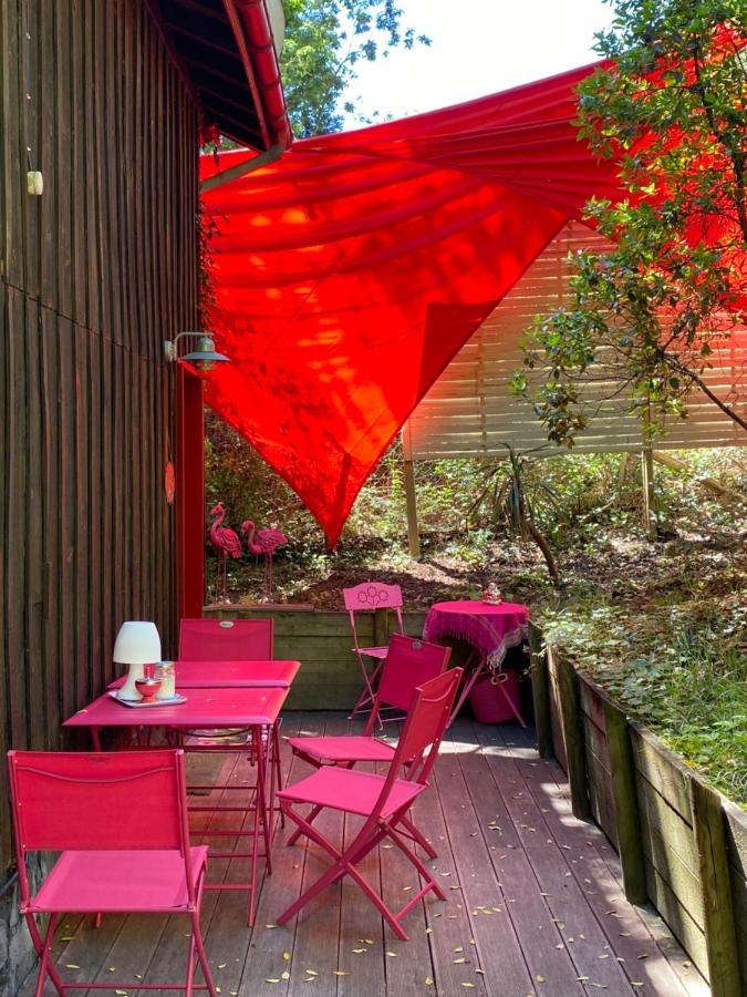 Le Loft Au-Dessus Des Pins Apartment Lacanau Exterior foto